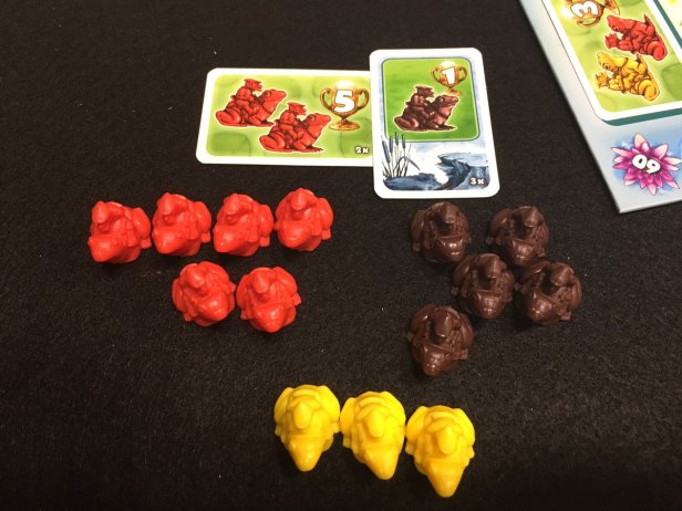 FrogRiders Set Collection at End Game